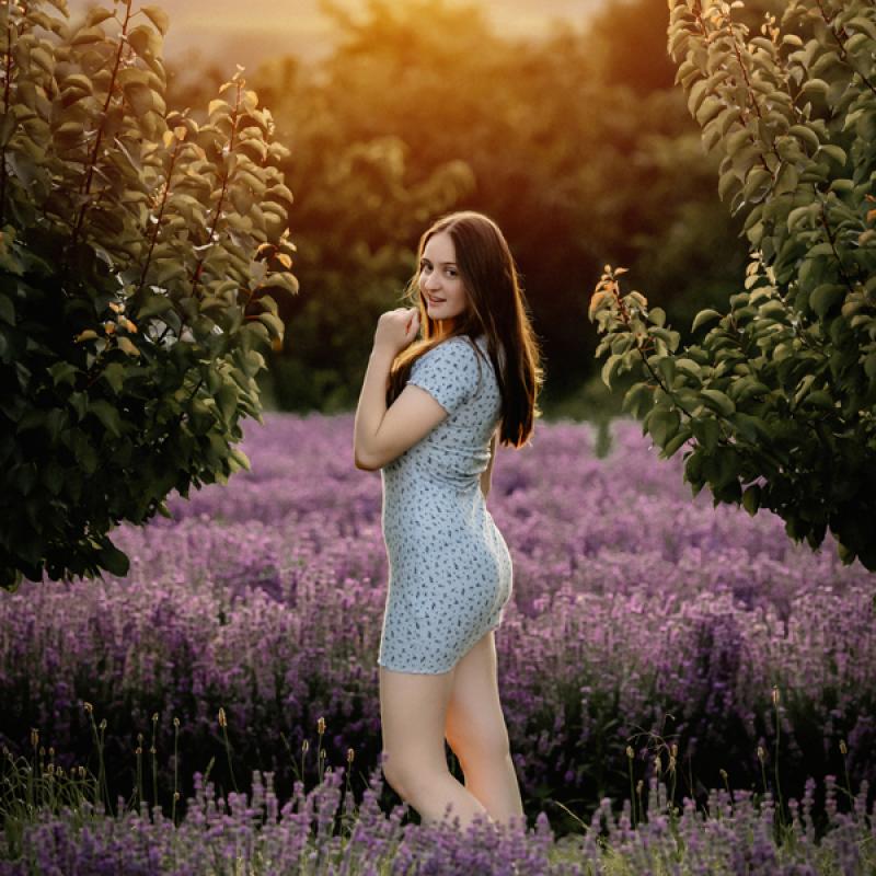 Rosalavendel050
