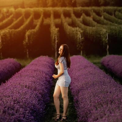 Rosalavendel075